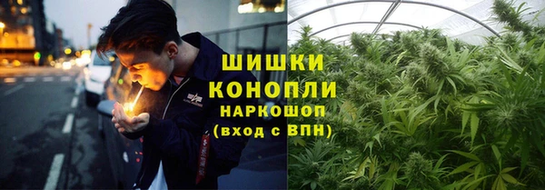 трава Армянск